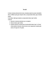 Referāts 'Gaisa transporta un starptautiskās lidostas "Rīga" attīstība', 4.