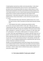 Referāts 'Gaisa transporta un starptautiskās lidostas "Rīga" attīstība', 14.