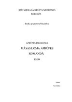 Eseja 'Māsas loma aprūpes komandā', 1.