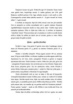 Referāts 'Cilvēkveidīgie pērtiķi', 4.