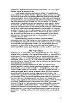 Referāts 'Krētas un Mikēnu kultūra', 6.