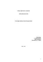 Referāts 'Dzīves jēgas meklējumi Zentas Mauriņas romānos', 1.