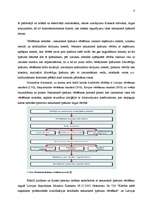 Referāts 'Tirgus cena un tās veidošanās nekustamā īpašuma tirgū', 6.