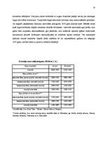 Referāts 'Tirgus cena un tās veidošanās nekustamā īpašuma tirgū', 18.