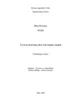 Referāts 'Carnikavas novada tūrisma attīstība', 1.