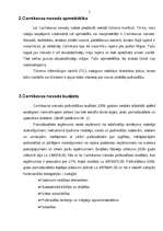 Referāts 'Carnikavas novada tūrisma attīstība', 5.