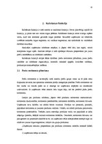 Referāts 'Mārketinga funkcijas', 10.