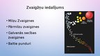 Prezentācija 'Zvaigznes', 7.