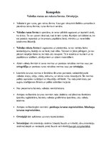 Konspekts 'Valodas runas un rakstu forma. Ortoēpija', 1.