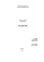 Konspekts 'Bezvadu tīkli', 1.