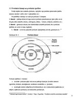 Referāts 'Mārketinga mix elementi un to savstarpējās atbilstības analīze', 15.