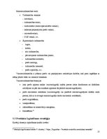 Referāts 'Mārketinga mix elementi un to savstarpējās atbilstības analīze', 25.