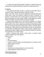 Referāts 'Mārketinga mix elementi un to savstarpējās atbilstības analīze', 28.