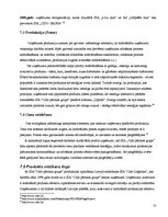 Referāts 'Mārketinga mix elementi un to savstarpējās atbilstības analīze', 31.