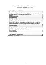 Referāts 'SIA Remus', 1.