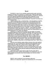 Referāts 'SIA Remus', 2.