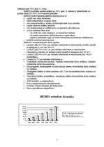 Referāts 'SIA Remus', 3.