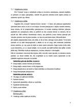 Biznesa plāns 'SIA "Dimants"', 4.