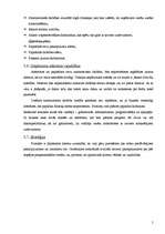 Biznesa plāns 'SIA "Dimants"', 5.