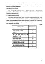 Biznesa plāns 'SIA "Dimants"', 7.