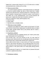 Biznesa plāns 'SIA "Dimants"', 9.