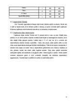 Biznesa plāns 'SIA "Dimants"', 14.