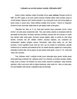 Eseja 'Laikmeta un novada iezīmes romānā "Mērnieku laiki"', 1.