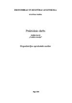 Eseja 'Organizācijas aprakstošā analīze', 1.