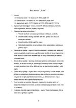 Eseja 'Organizācijas aprakstošā analīze', 2.