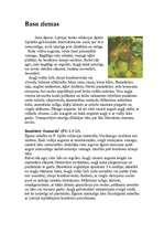 Eseja 'Bumbieru selekcija', 1.