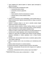 Referāts 'Biznesa inkubatoru raksturojums', 11.