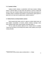 Referāts 'Biznesa inkubatoru raksturojums', 12.