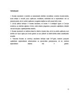 Referāts 'Biznesa inkubatoru raksturojums', 13.