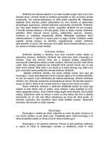 Eseja 'Kādēļ vajadzīga svešvārdu vārdnīca?', 2.