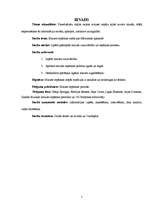 Referāts 'Maizes cepšanas tradīcijas Mārcienas apkaimē', 5.