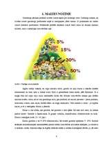 Referāts 'Maizes cepšanas tradīcijas Mārcienas apkaimē', 6.