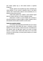 Eseja 'Situācijas modelēšana starptautiskajā komercdarbības vidē - starptautiskais kred', 2.