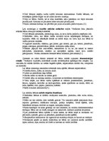 Eseja 'Ģimenes loma bērna iztēles un jaunrades attīstībā', 2.