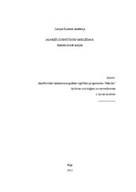 Referāts 'Jauniešu identitātes meklēšana', 1.