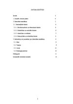 Referāts 'Jauniešu identitātes meklēšana', 2.