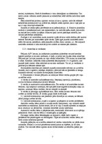 Referāts 'Jauniešu identitātes meklēšana', 7.