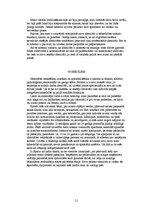 Referāts 'Jauniešu identitātes meklēšana', 11.