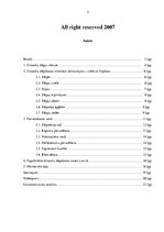 Referāts 'Distanču slēpošana', 2.