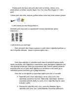 Referāts 'Ierobežoto un aizliegto preču muitas kontrole', 7.