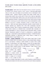 Referāts 'Cilvēks kā organizācijas iekšējās vides komponents', 2.