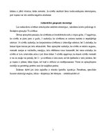 Konspekts 'Aizspriedumi un stereotipi', 5.