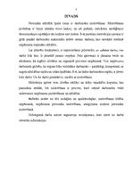 Referāts 'Personāla motivēšana', 3.