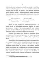 Konspekts 'Loģistikas teorija', 19.