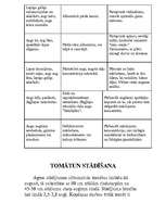 Referāts 'Tomāti', 7.