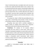 Referāts 'Hipospādijas un epispādijas ārstēšana', 5.